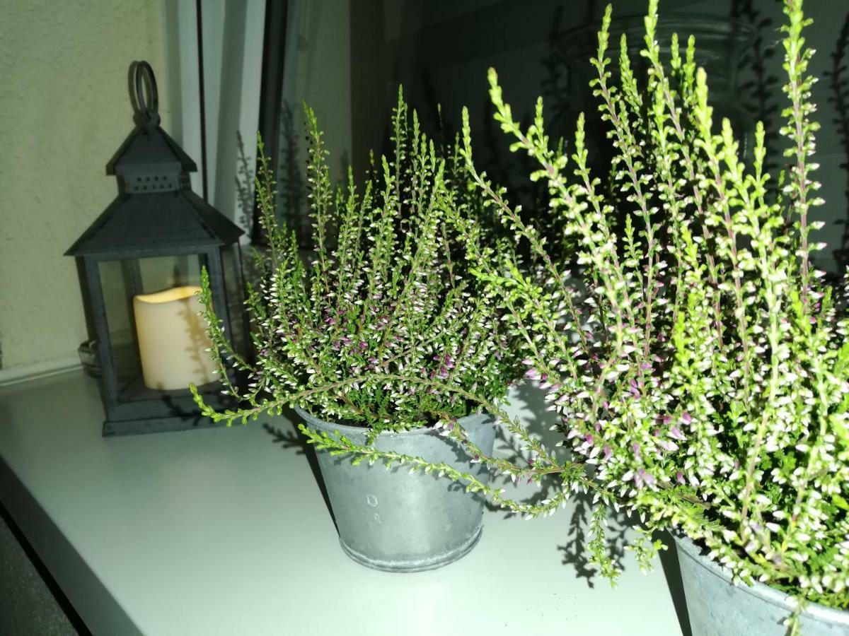 Papaver Apartament Zielona Góra Dış mekan fotoğraf